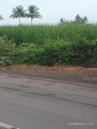 સેરડી  લેવામાટે  ફોન    કરો