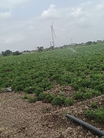 જમીન વેચવા ની છે