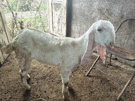 3 મહિના