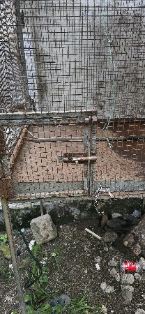 Pinjuro