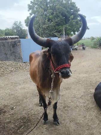 2ધર