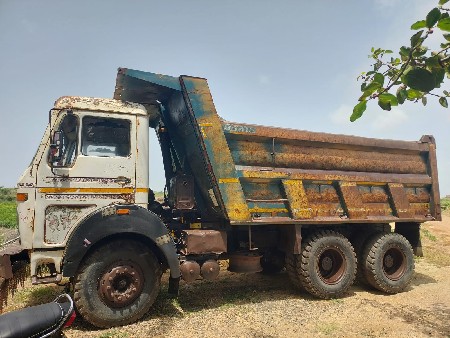 tata haywo