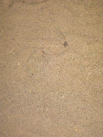ખાતર