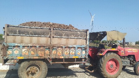 દેશી ખાતર લીડ પ્રમાણે ભાવ