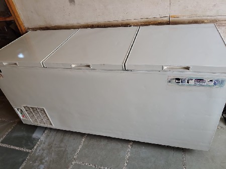 600 ltr ડેરી નું ફ્રીજ વેચાવ છે