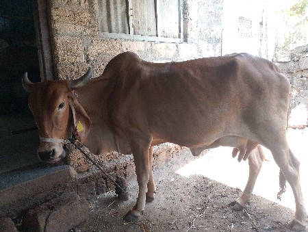 વેચવાનું છે. બધું