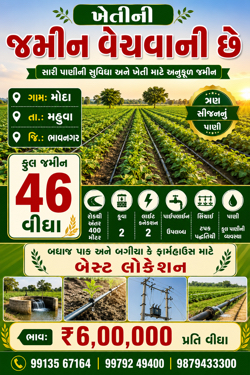 પટેલનું ગામ પટેલ પાડોસી