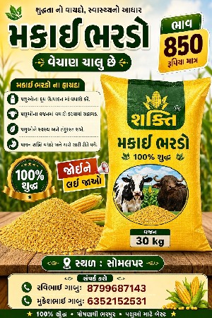 મકાઈ ભરડો