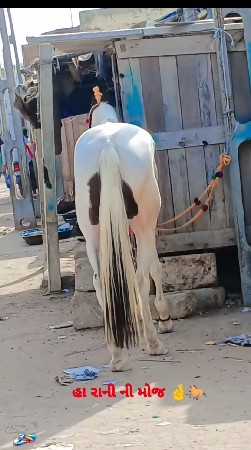 બધી રીતે પૂરી