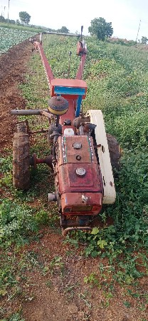 સિંગળા વાળુ