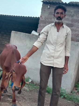 નવ મહીનાની સે