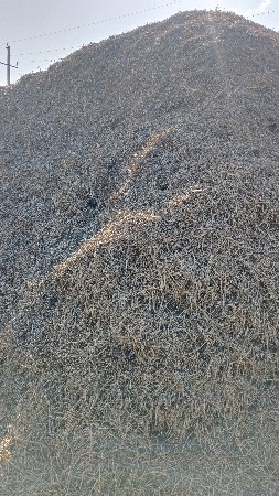 ભૂકો વેચવાનો છે