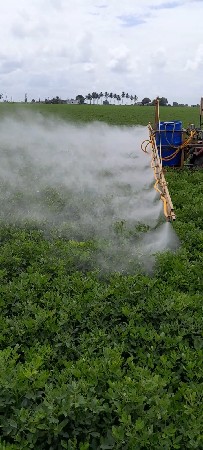 trector spray pump