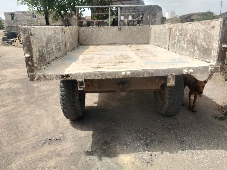 ટોલી