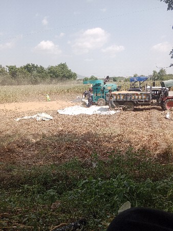 ફુકણીવેશવાનુ3કટરબધાસારના