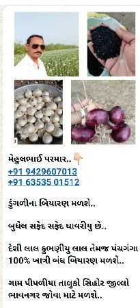 ડુંગળી ના લાલ સફેદ બિયારણ