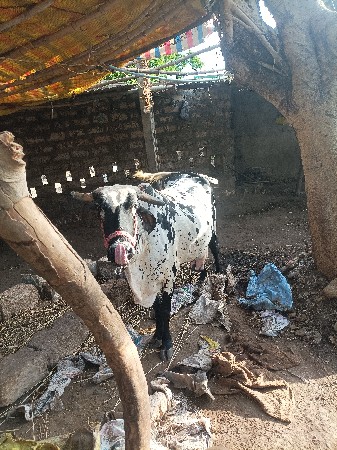 મહિનો દિવસ થયો