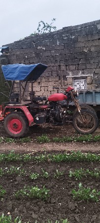 સનેડો