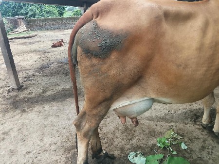 વેચાણ માં છે