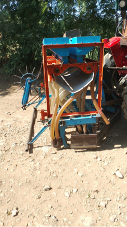 ઓરણી