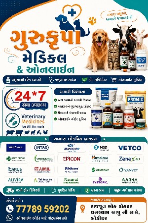 મેડિકલ +91 77789 59202