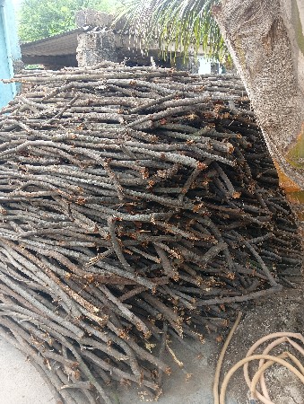 લાકડા લેવા વેચવા ના છે