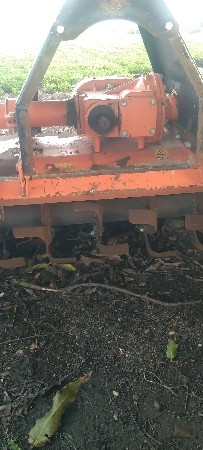 પરેશ રબારી
9328006538
