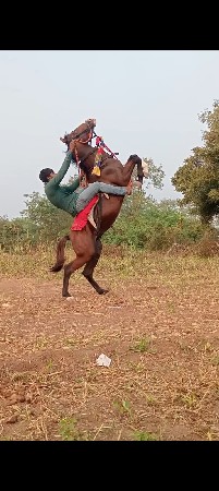 ધોડો વેસવાનો છે અને સાટા કરવાના