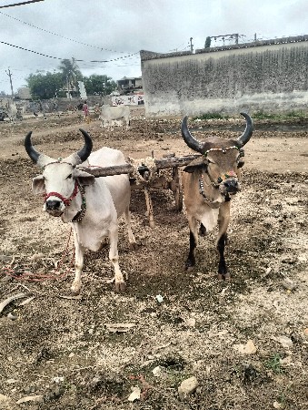 શિવ શહેર