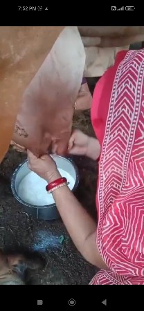 વેચવાની