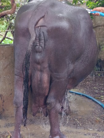પાંચ છ દિવસની કાશી