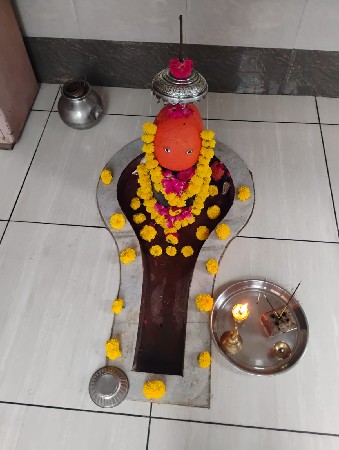 દેશી ગોધલા