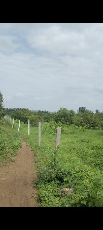 જમીન વેચવાની છે