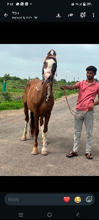 વેચવાની છે