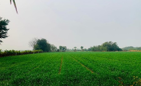 જમીન વેચવાની છે