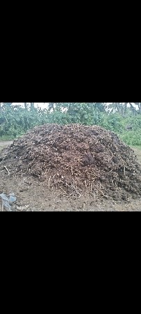 છાણીયું ખાતર.