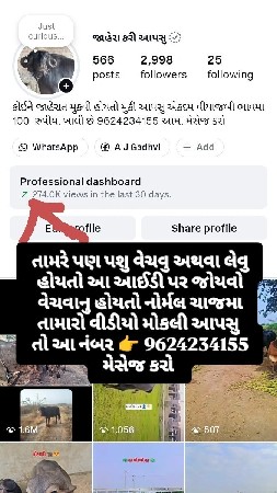 જાહેરાત કરી આપસુ