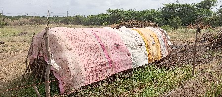 ચોહાણ શુરેસ ભાઇ .