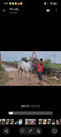 Rozi ghodi apvani che