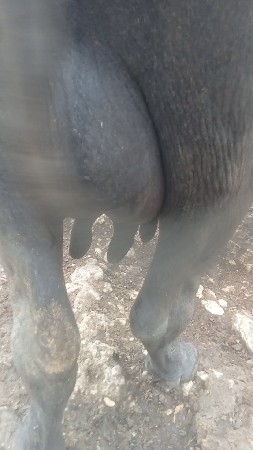 બીજો વેધર ફુલ જવાબદારી total જવાબદ
