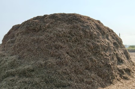 ભૂકો અને સૂકી જાર (કળબ)