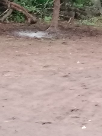 જય માતાજી ભાઈ ખડેલુ છે બેસવાનું