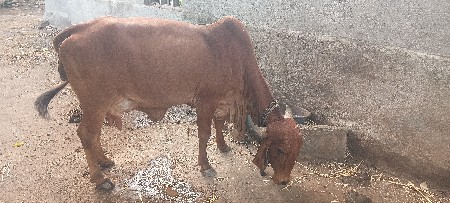 વેચવાની છે