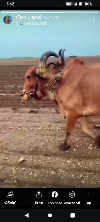 મફત આપવાના છે
