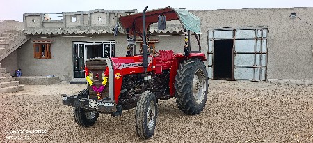 massey 245