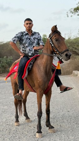 ૫ વર્ષની છે