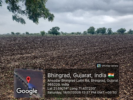 જમીન