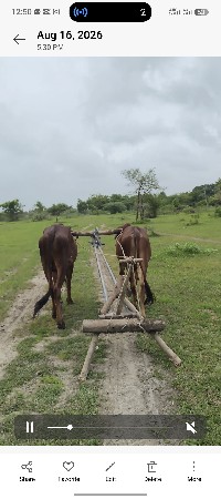 વેચવા ના સે