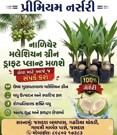તમામ બાગાયતી રોપા કલમી ખાતરી