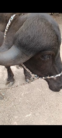 પોરબંદર જિલ્લો